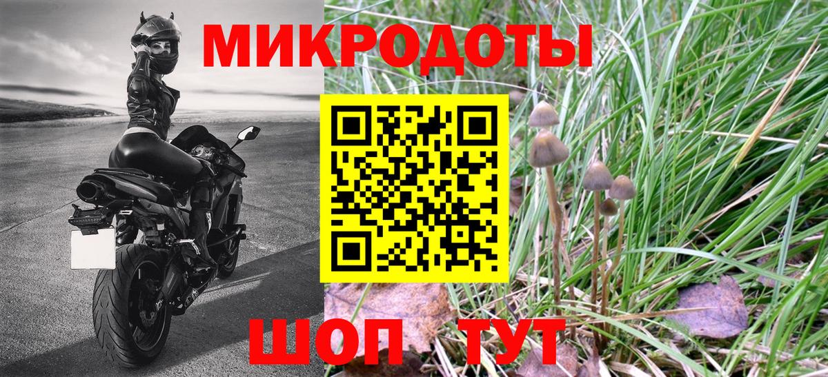 Кудрово  Псилоцибиновые грибы MAGIC MUSHROOMS  Вход с VPN  как найти закладки  Псилоцибиновые грибы Magic Shrooms 